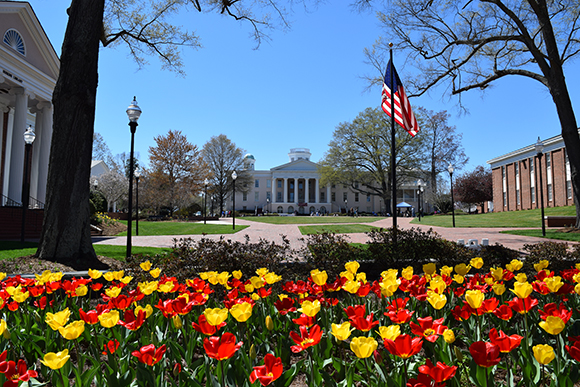 The Circle with tulips in foreground