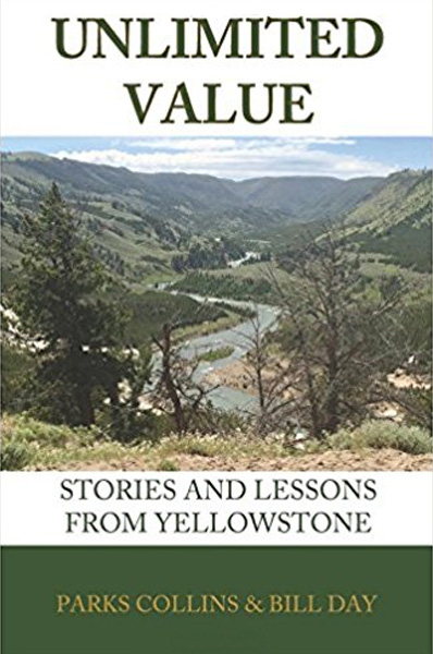 Unlimited Value book cover